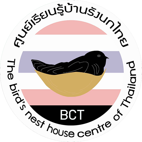 thailandbirdsnest